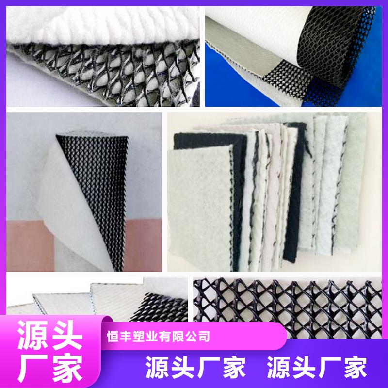 昌江县排水网_三维排水网_复合土工排水网价格_三维复合排水网