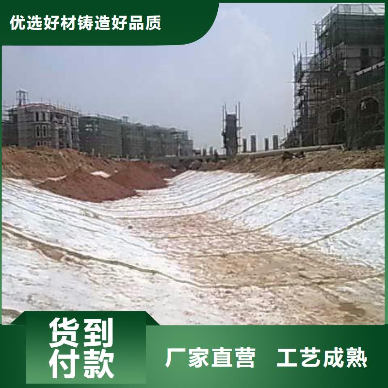 GCL钠基膨润土防水毯规格型号齐全/可定制