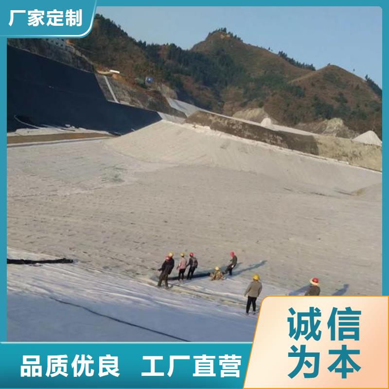 昌江县GCL钠基膨润土防水毯价格/2024年最新报价