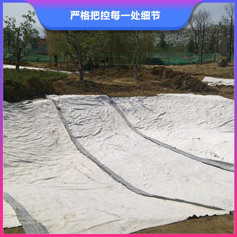 隧道膨润土防水毯规格型号齐全/可定制