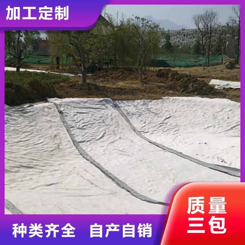 膨润土复合防水毯生产基地&质优价廉