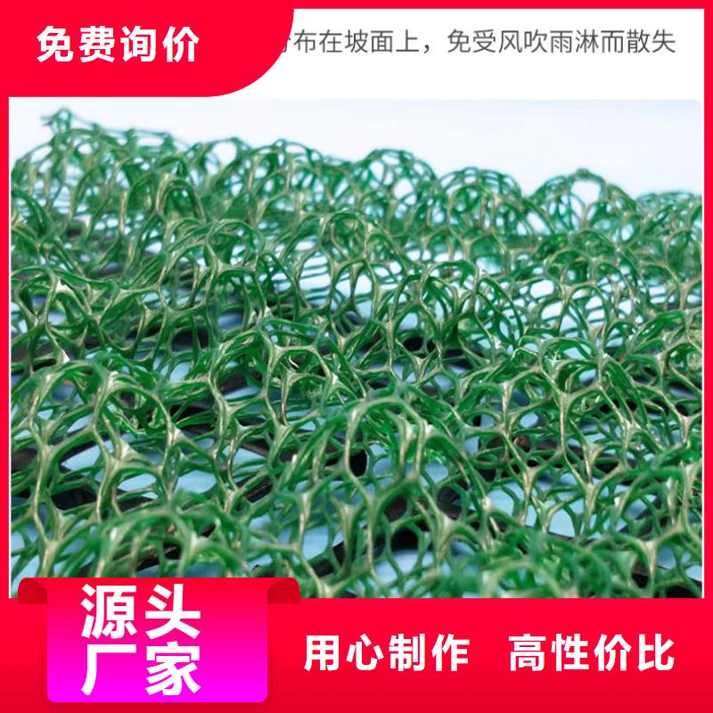 三维植被网双向塑料土工格栅质检严格