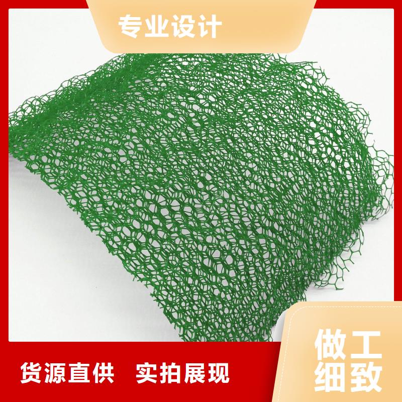 边坡防护三维植被网应用及领域