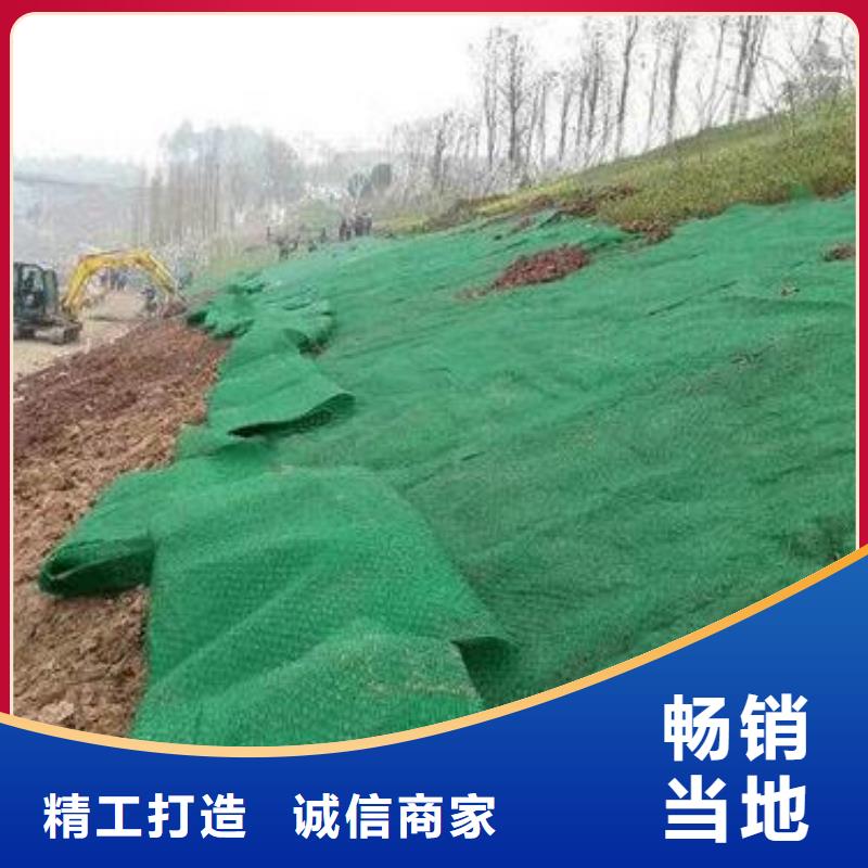 边坡防护三维植被网生产厂家-质优价廉