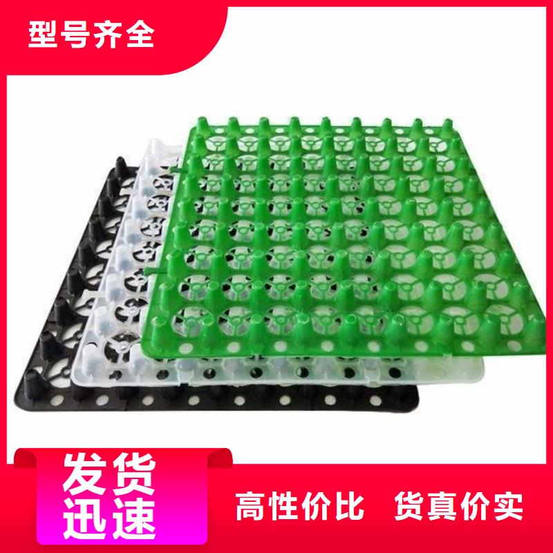 塑料排水板_钢塑土工格栅产品优良
