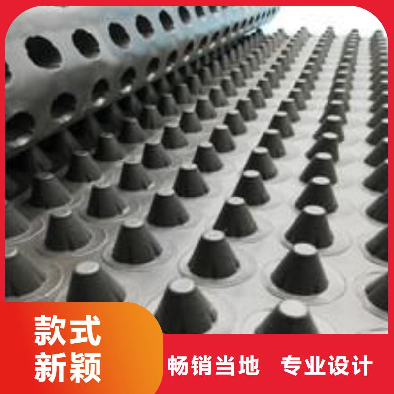塑料排水板_【双向土工格栅】厂家经验丰富