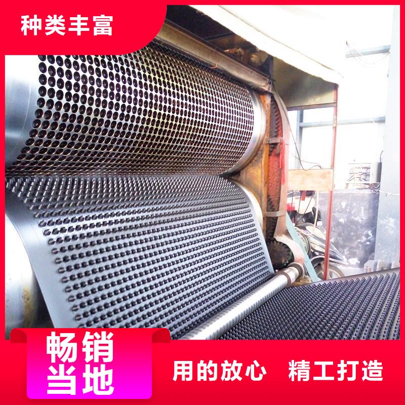 塑料排水板,护坡土工网品质保证