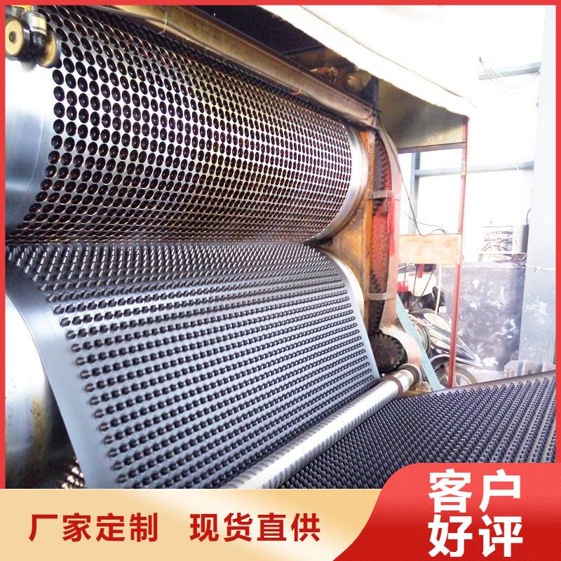 【 塑料排水板钢塑土工格栅专业设计】_亿路通新材料(安顺市分公司)