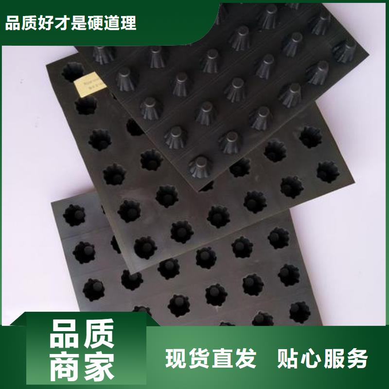 塑料排水板_【塑料土工滤网】主推产品