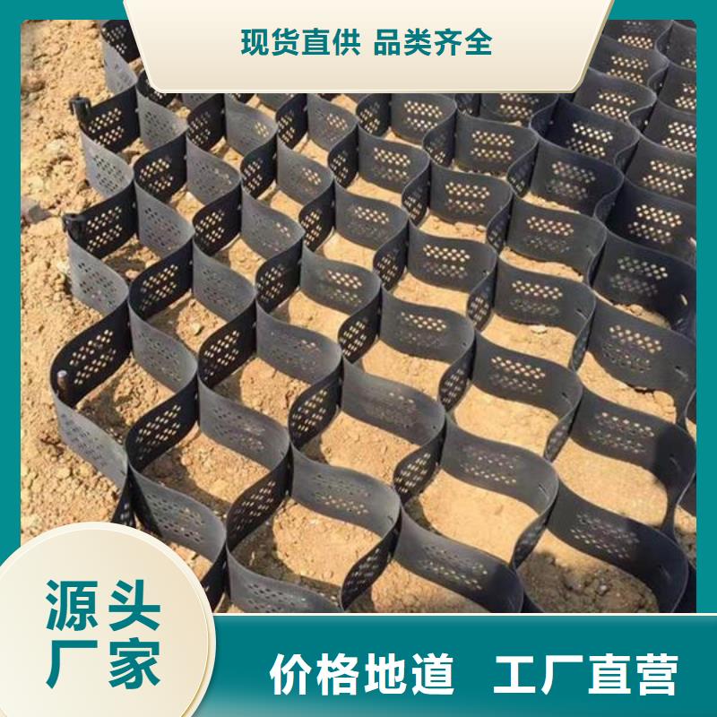 【土工格室】双向塑料土工格栅丰富的行业经验