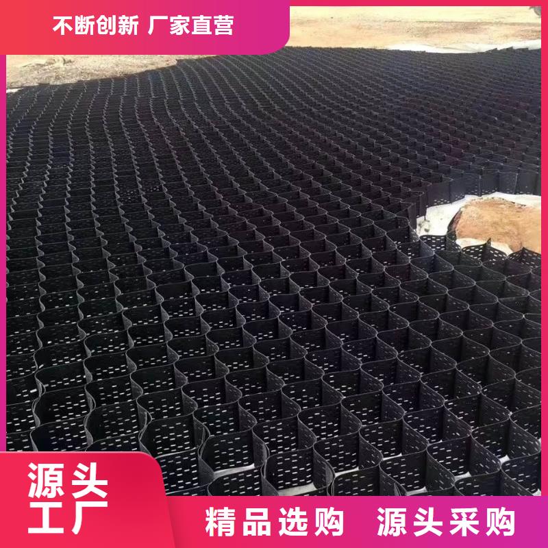 土工格室土工HDPE膜口碑好實力強