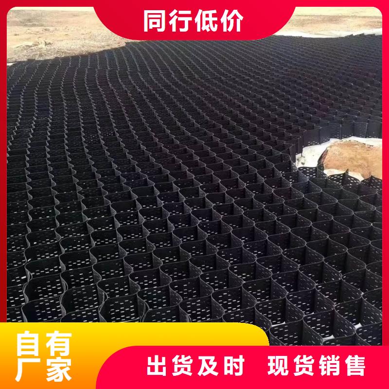 土工格室_防滲膜支持定制貼心售后