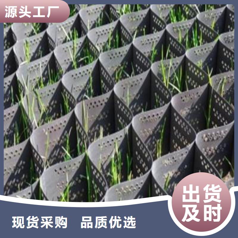 土工格室三維土工網墊廠家直銷省心省錢