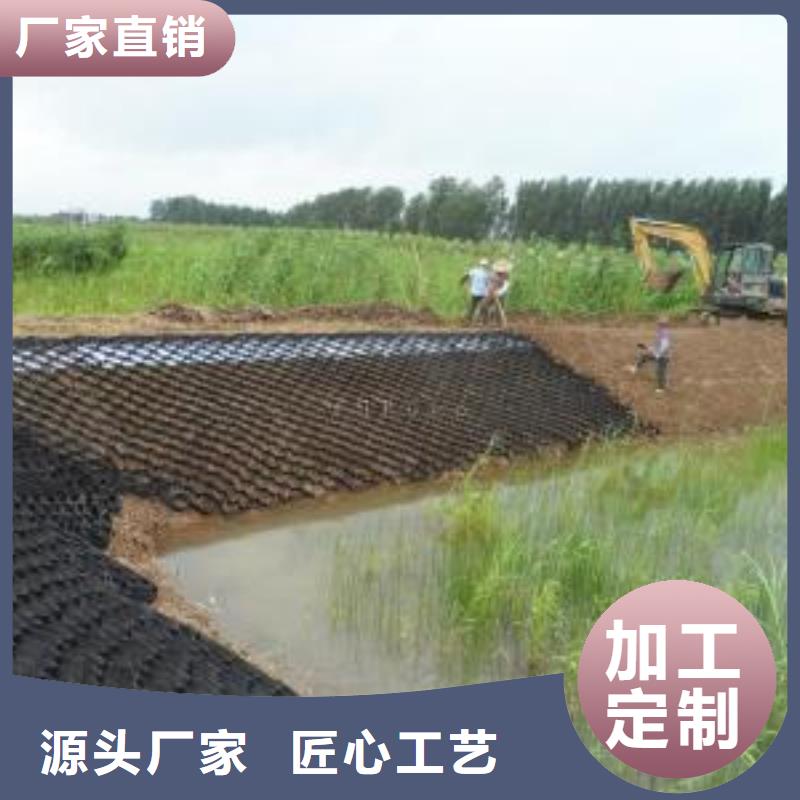 土工格室,【三维土工网垫】材质实在 亿路通新材料(黄山市分公司)