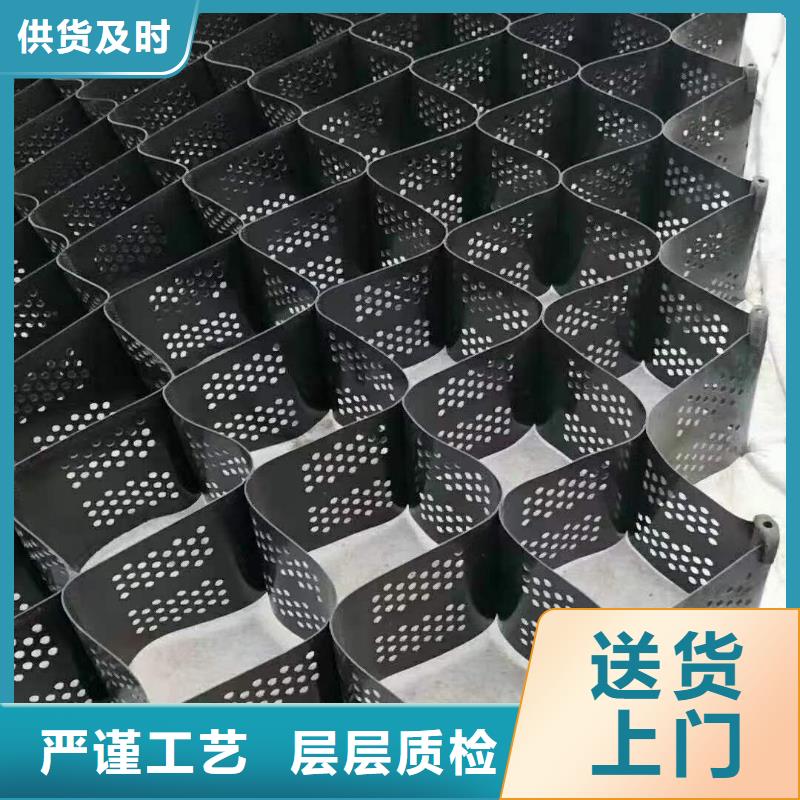土工格室_单向塑料土工格栅您身边的厂家