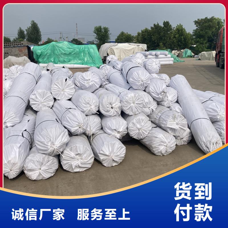 双向土工格栅矿用假顶网价格