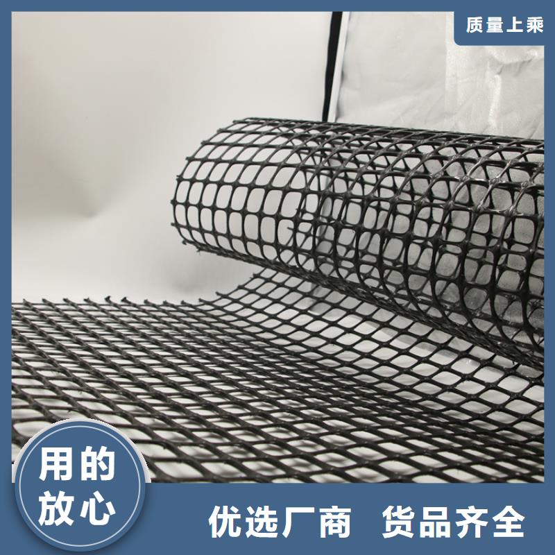 塑料土工格栅,护坡土工网好品质经得住考验