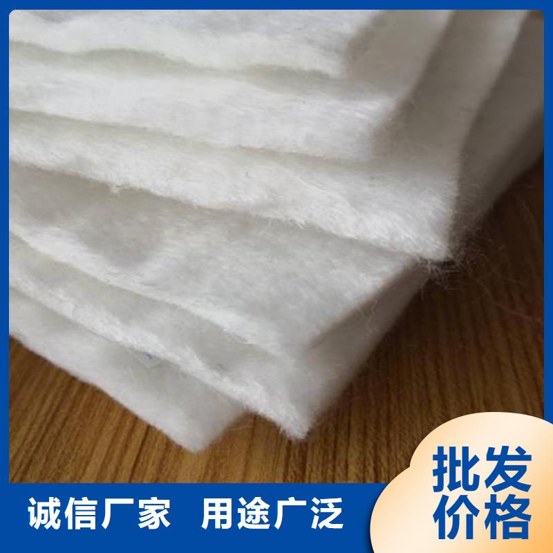 钢塑土工格栅 中齐土工布【三维植被网】保障产品质量