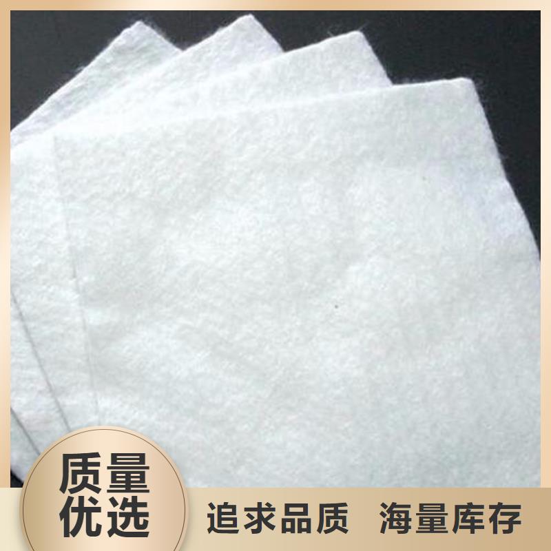 土工布 【pp焊接土工格栅】质保一年