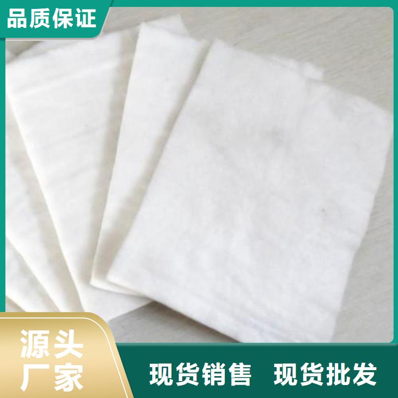 土工布双向塑料土工格栅质检严格