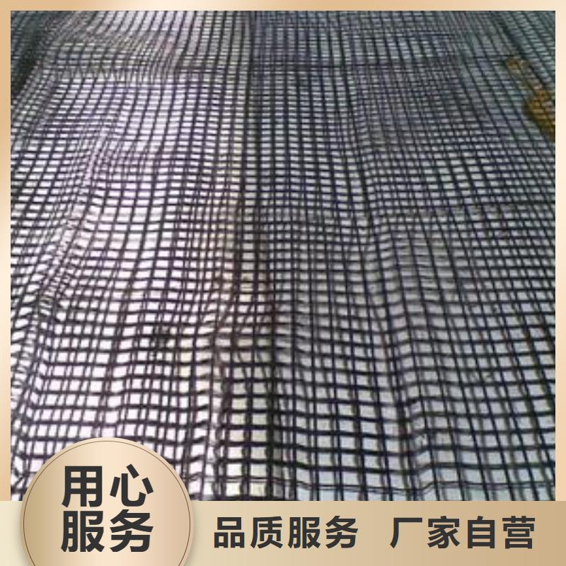 【玻纤土工格栅】-护坡土工网支持大批量采购同城经销商