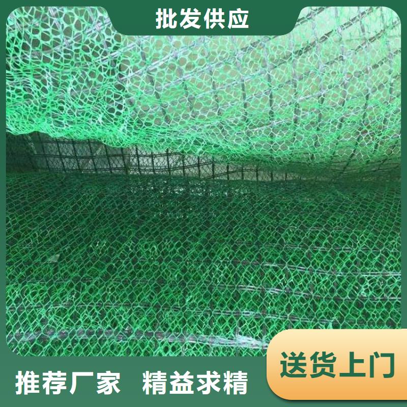 三維植被網單向塑料格柵用品質贏得客戶信賴