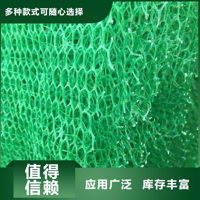 EM3三维植被网价格绿化植草网价格生产基地