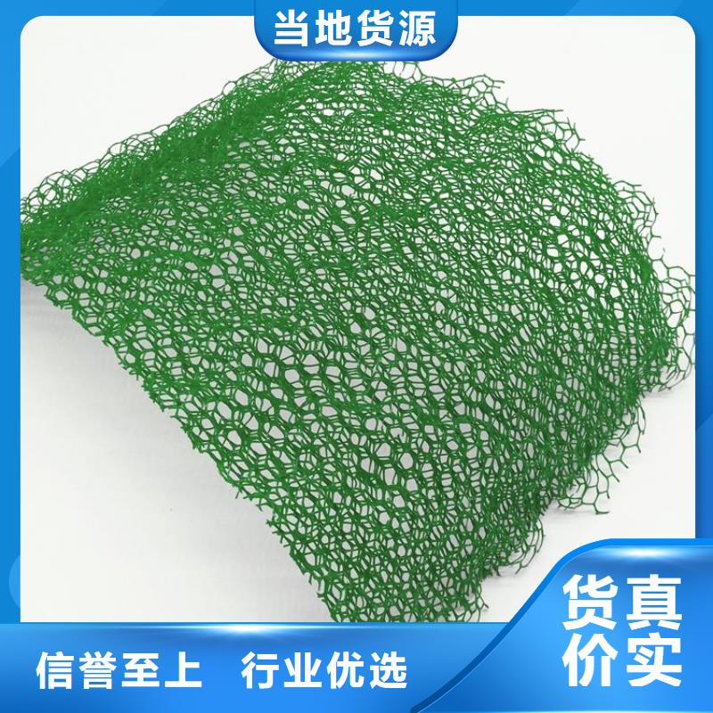 【三维植被网双向塑料土工格栅专注产品质量与服务】