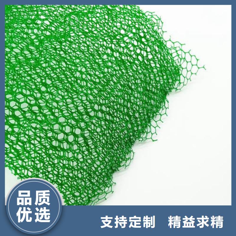 三维植被网_涤纶土工格栅品质好才是硬道理