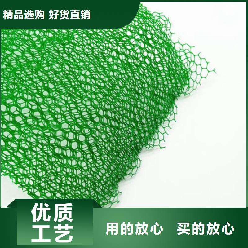 三维植被网_【涤纶格栅】品质优选本地经销商