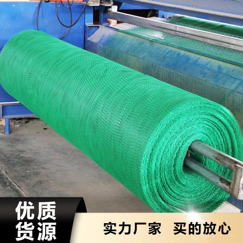 【三维植被网双向塑料土工格栅专注产品质量与服务】