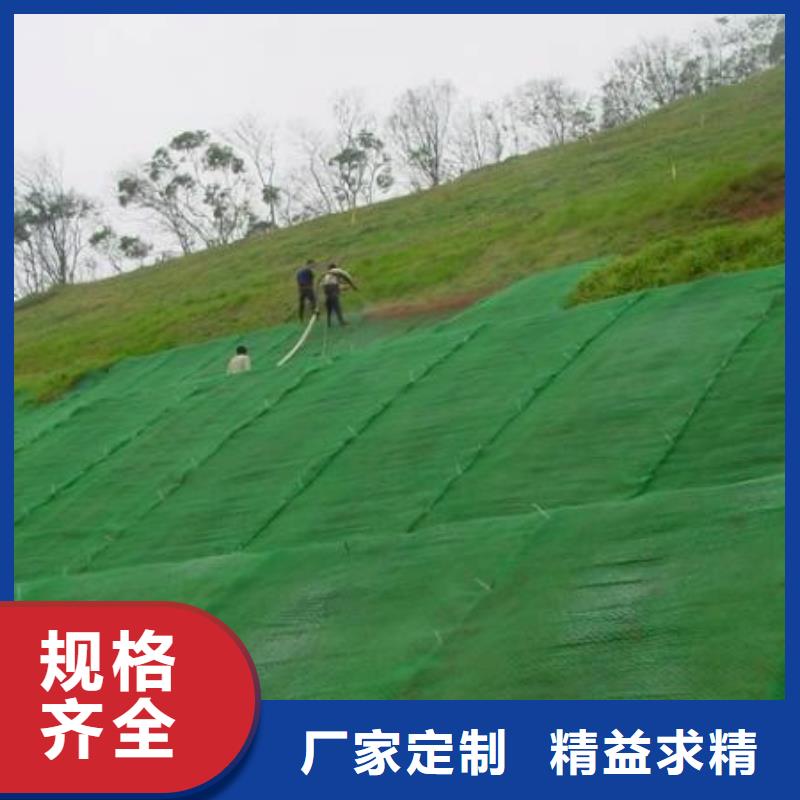 EM3三维植被网价格绿化植草网价格生产基地