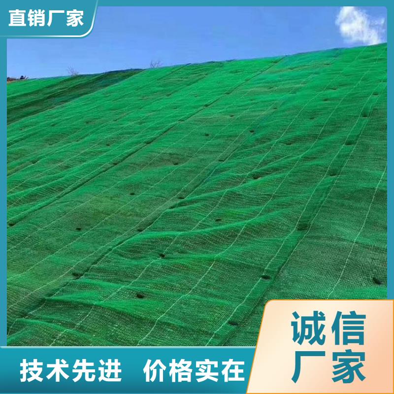 三维植被网玻纤土工格栅实力公司