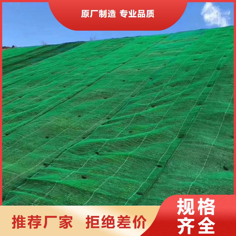 澄迈县土工网垫