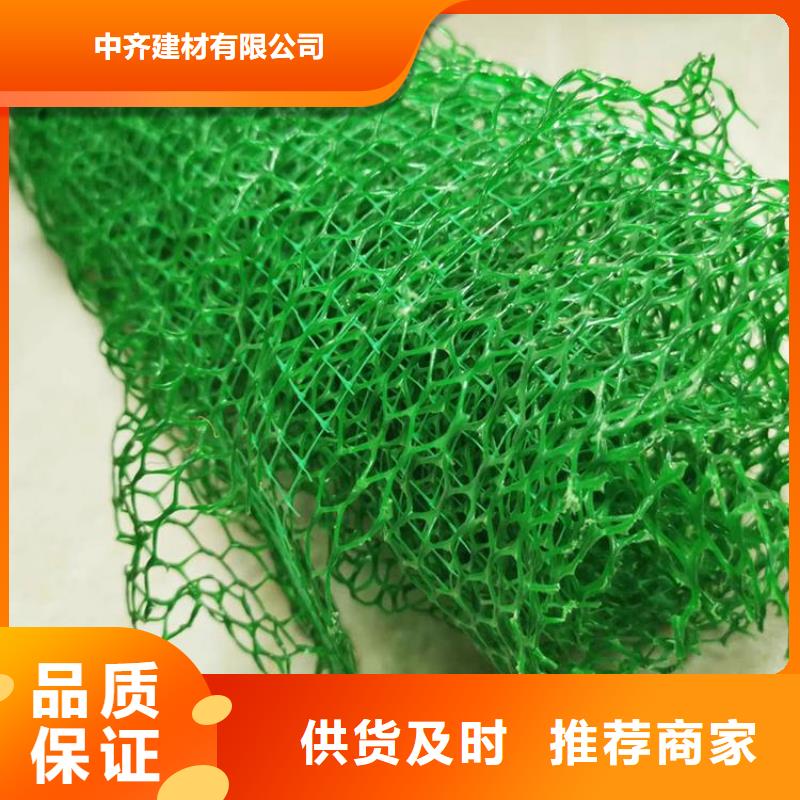 土工网垫