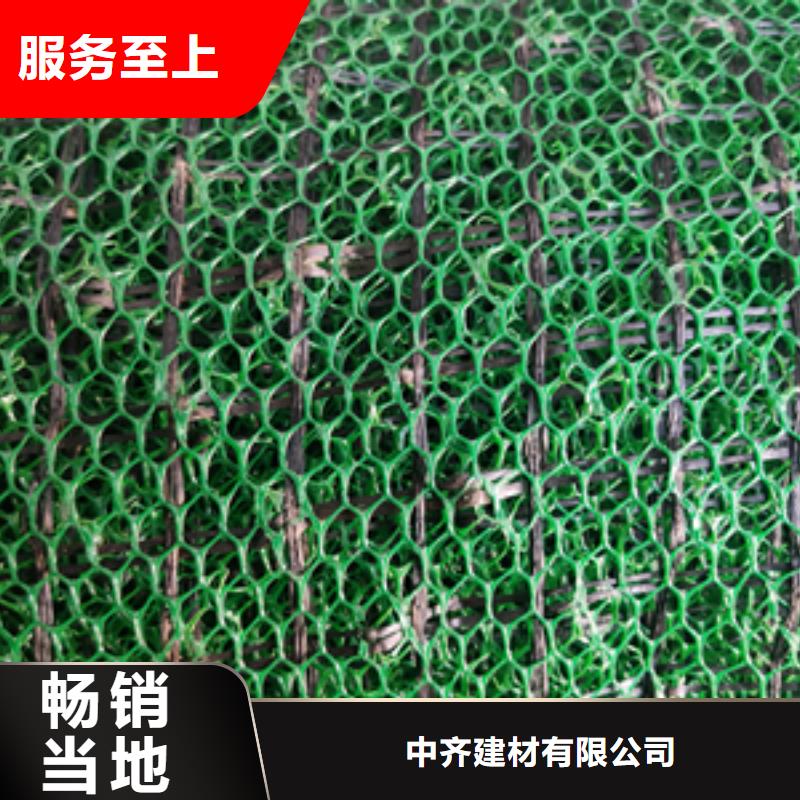 三維植被網透水土工布廠家現貨批發