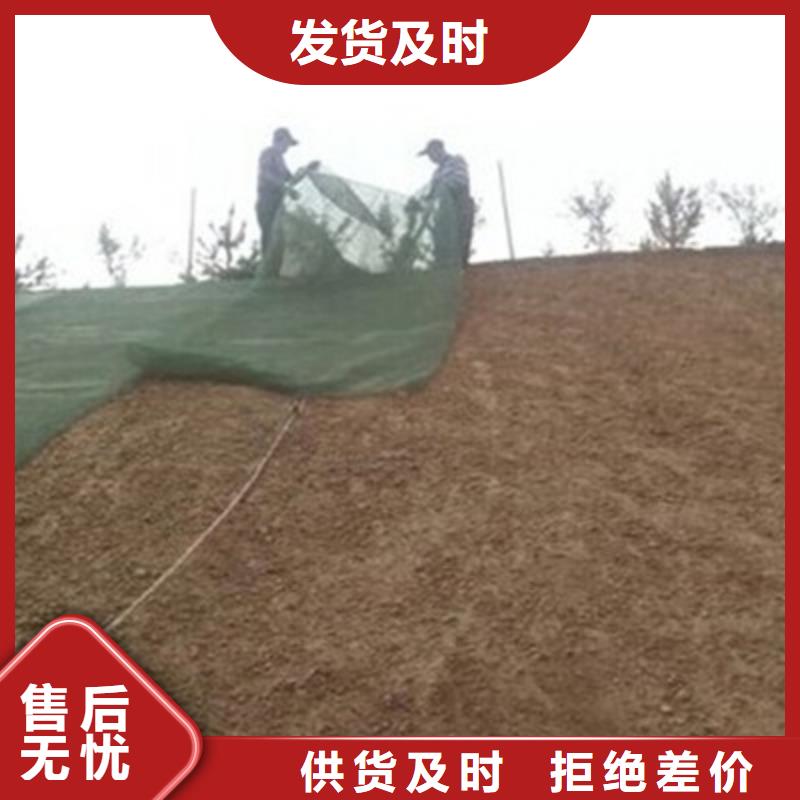 三维植被网,【加筋布】免费寄样