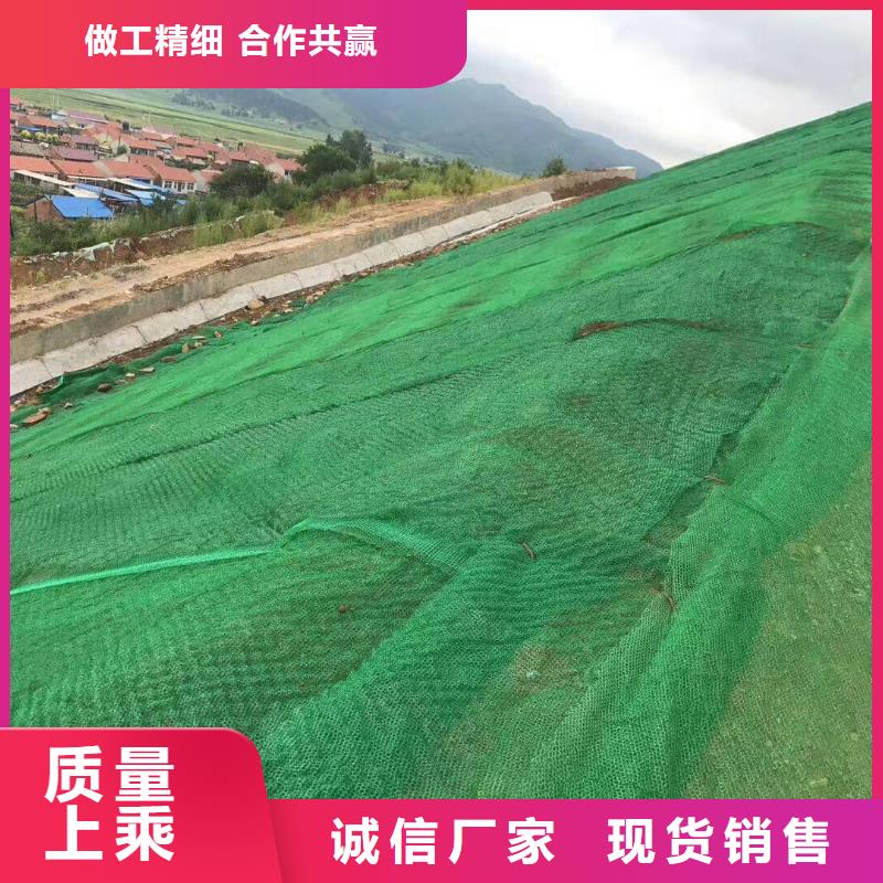 植草网价格,护坡土工网,