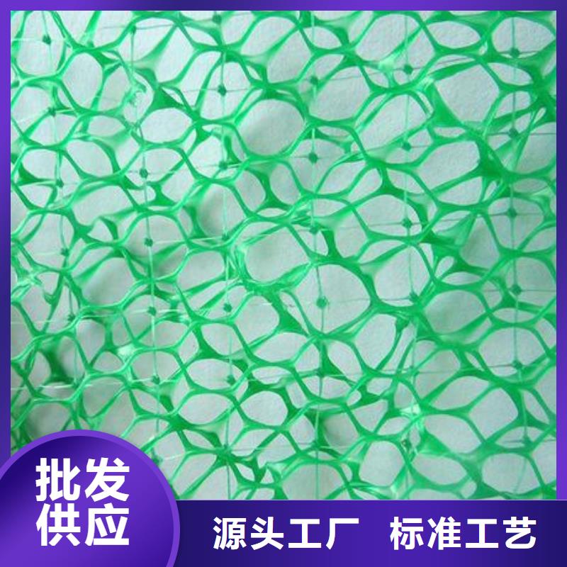 三维植被网双向塑料格栅精工打造
