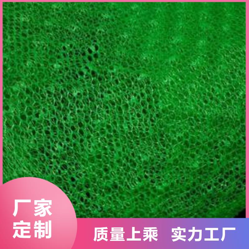 護坡三維網廠家綠化植草網價格廠家直銷