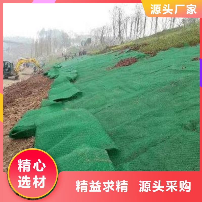 三維植被網雙向塑料格柵專業生產品質保證