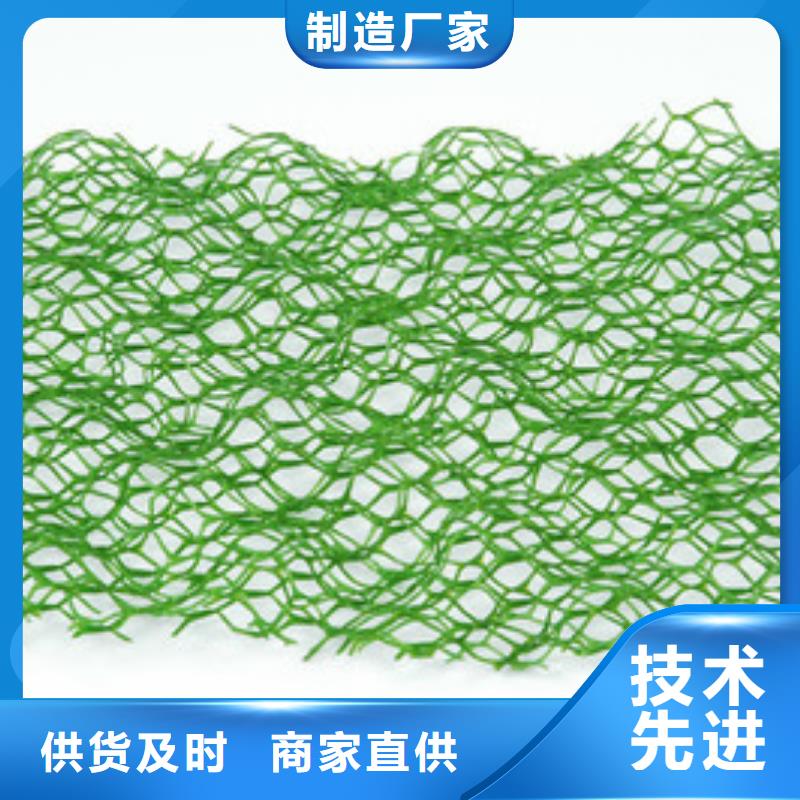 三维植被网-【凸结点钢塑土工格栅】实力雄厚品质保障