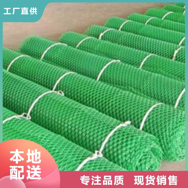 三维植被网_【涤纶格栅】品质优选_中齐建材(淮安市分公司)