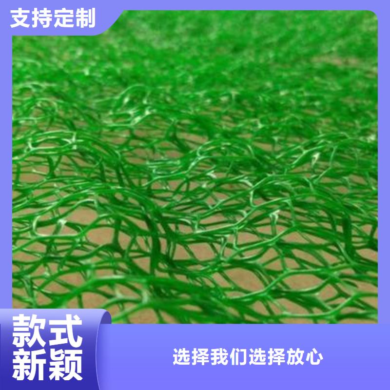 三维植被网短丝土工布发货及时