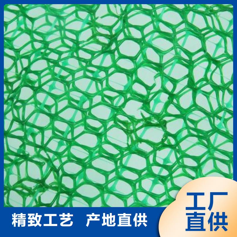 [上海]自主研发中齐三维植被网-护坡土工网买的放心