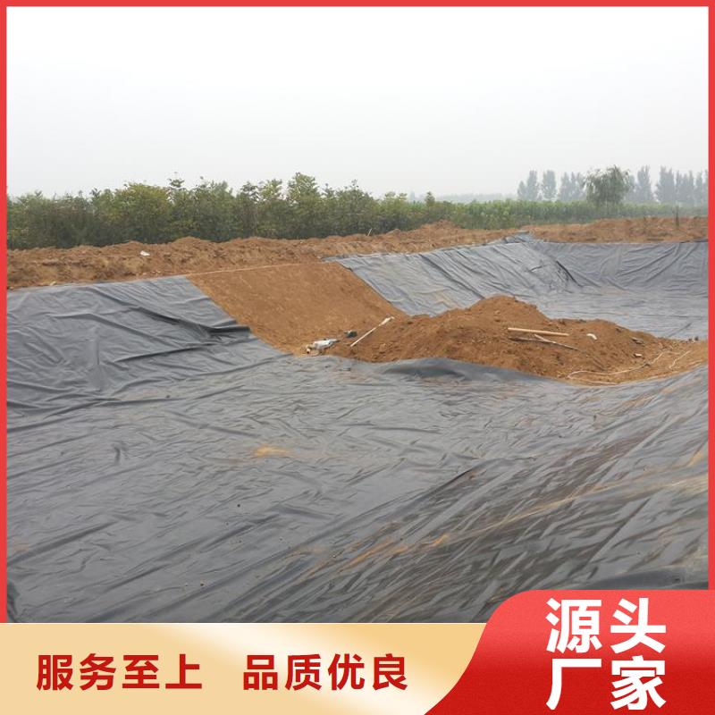 土工膜垃圾場土工膜垃圾防滲膜生產(chǎn)廠家
