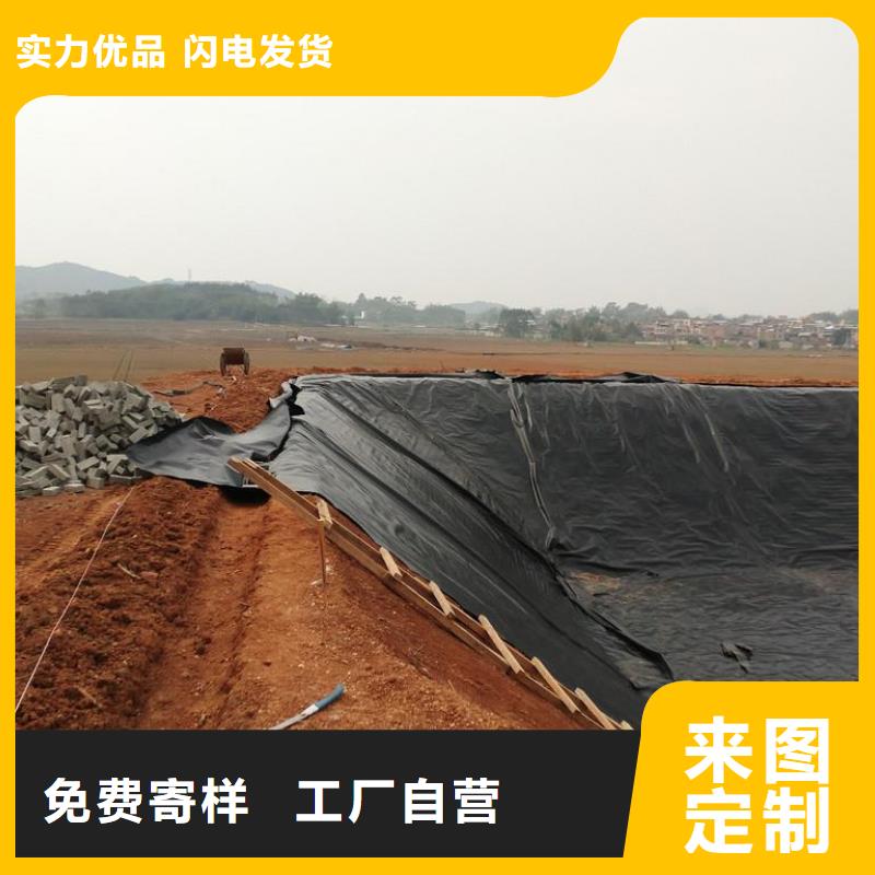 土工膜单向塑料土工格栅一手货源源头厂家