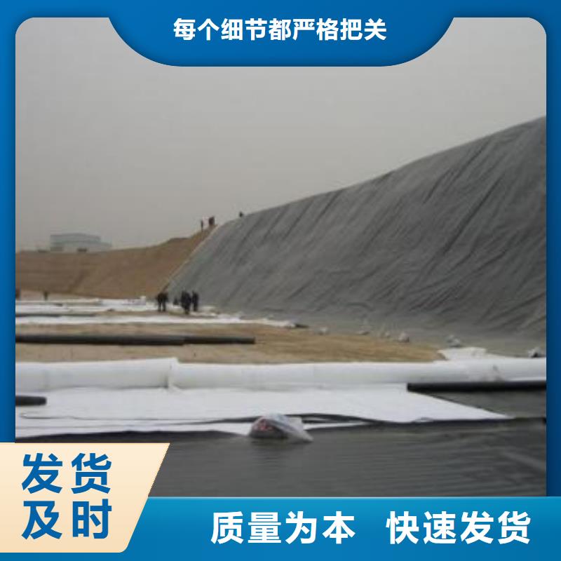 防渗土工膜垃圾场土工膜垃圾防渗膜生产厂家