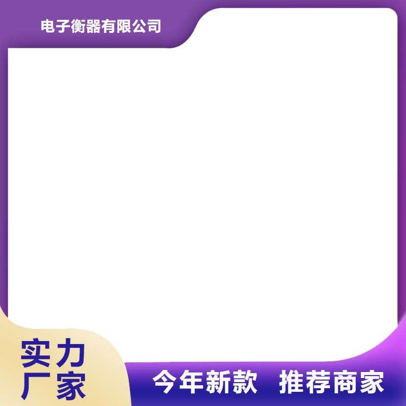 【电子皮带秤】_地磅传感器产品细节|地磅厂家-电子衡器(武威市分公司)