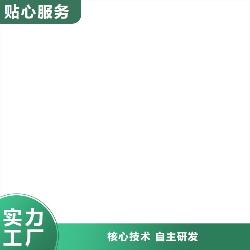 电子皮带秤